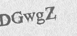 CAPTCHA code