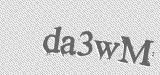 CAPTCHA code