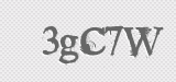 CAPTCHA code