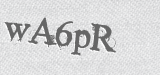 CAPTCHA code