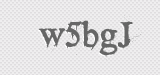 CAPTCHA code
