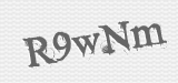 CAPTCHA code