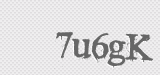 CAPTCHA code