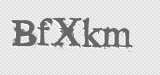 CAPTCHA code