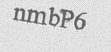 CAPTCHA code