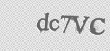 CAPTCHA code