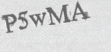 CAPTCHA code