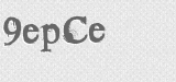 CAPTCHA code