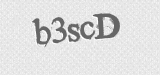 CAPTCHA code