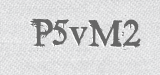 CAPTCHA code