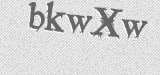 CAPTCHA code
