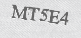CAPTCHA code