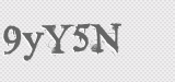 CAPTCHA code