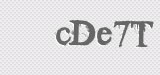 CAPTCHA code