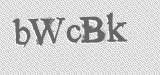 CAPTCHA code