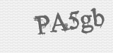 CAPTCHA code