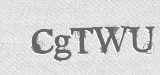 CAPTCHA code
