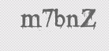CAPTCHA code