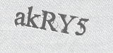CAPTCHA code