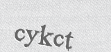 CAPTCHA code