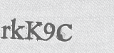 CAPTCHA code