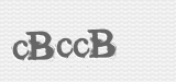 CAPTCHA code