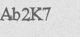 CAPTCHA code