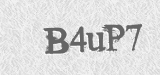 CAPTCHA code