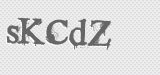CAPTCHA code