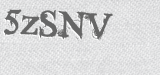 CAPTCHA code