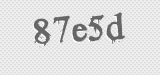 CAPTCHA code