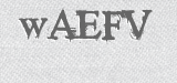 CAPTCHA code