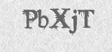CAPTCHA code