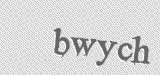 CAPTCHA code