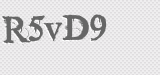 CAPTCHA code