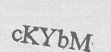 CAPTCHA code