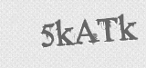 CAPTCHA code
