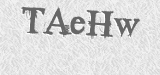 CAPTCHA code