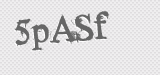 CAPTCHA code