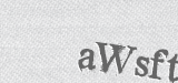 CAPTCHA code