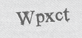 CAPTCHA code