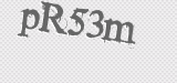CAPTCHA code