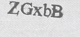 CAPTCHA code