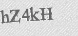 CAPTCHA code
