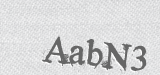 CAPTCHA code
