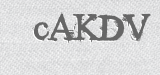 CAPTCHA code