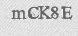 CAPTCHA code