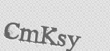 CAPTCHA code