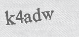 CAPTCHA code