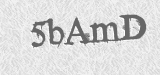 CAPTCHA code
